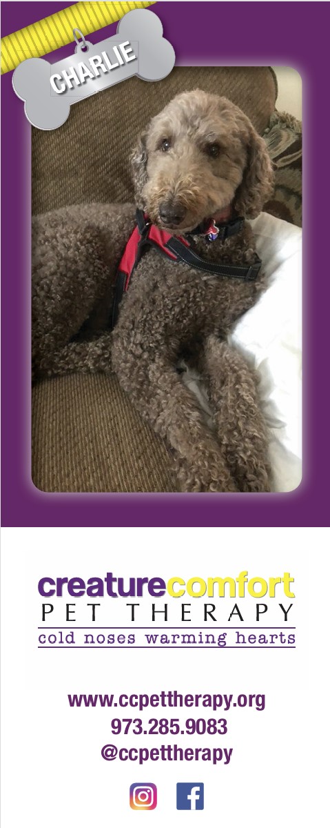 Creature Comfort Bookmark: Pay at PrintMe